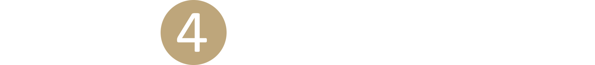 Zone 4 Interactive